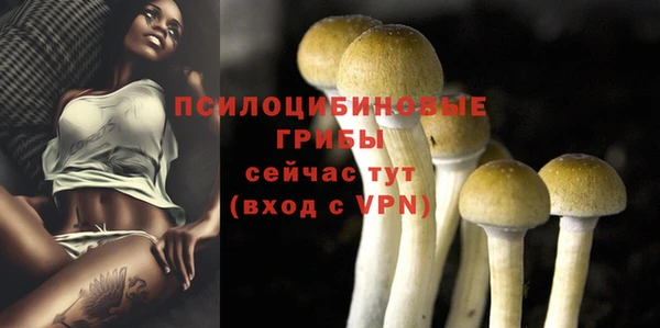 прущие крисы Алзамай