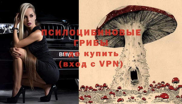 прущие крисы Алзамай