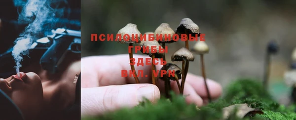 молекула духа Алексеевка