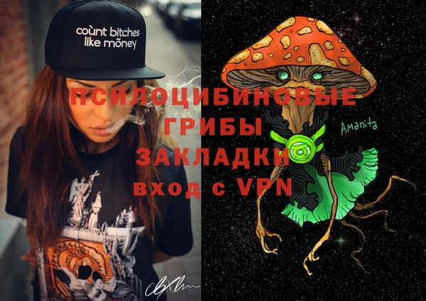 прущие крисы Алзамай