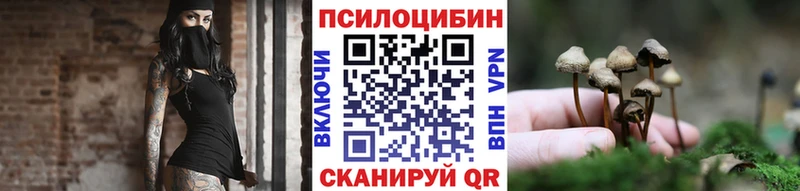 Псилоцибиновые грибы мухоморы Тамбов