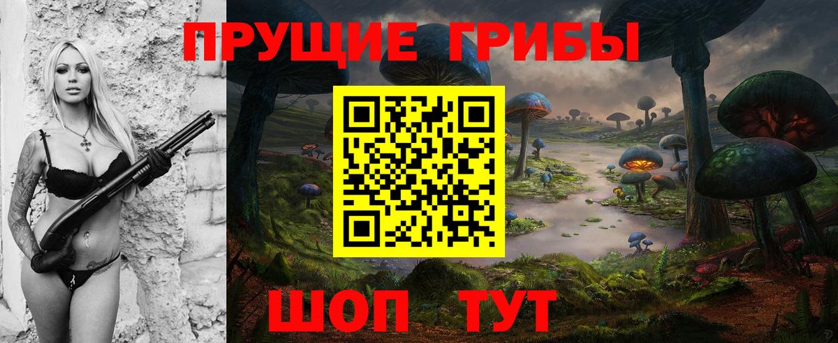 Тамбов  Псилоцибиновые грибы мицелий  Вход с VPN 