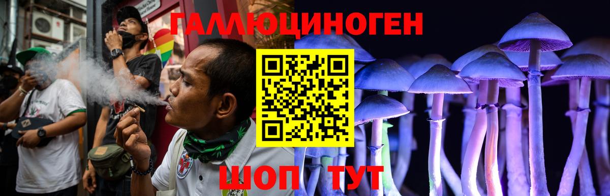 Галлюциногенные грибы GOLDEN TEACHER Тамбов